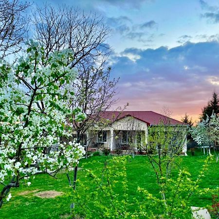 One Dom Cottage Gabala Buitenkant foto
